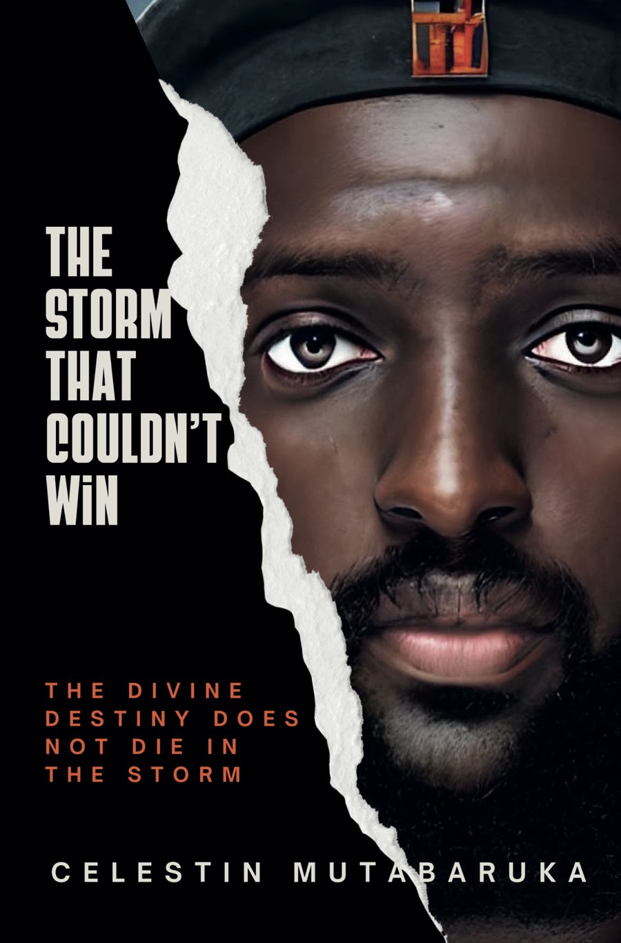 The Storm That Couldn't Win — book cover